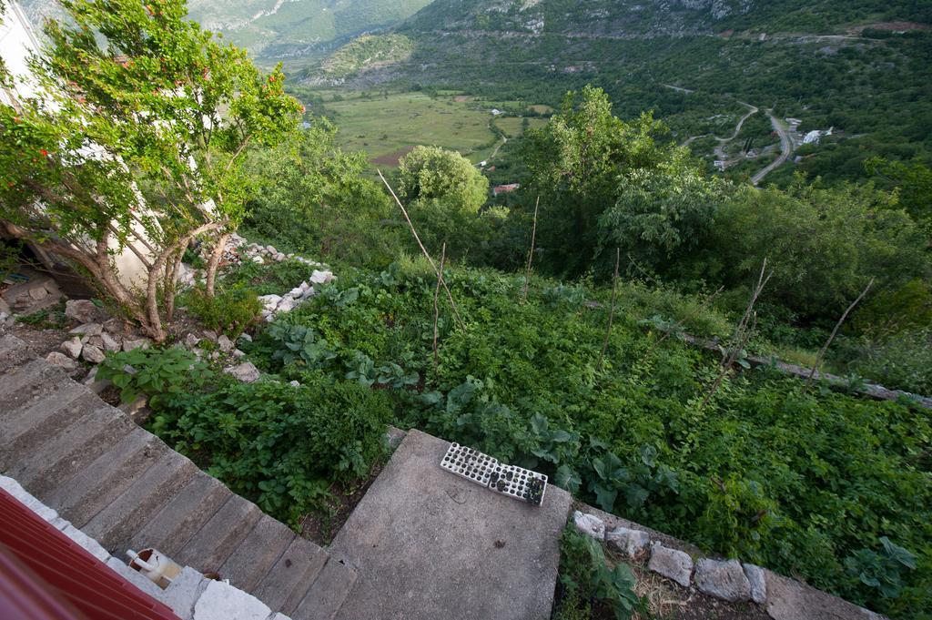 Apartment Village House Ravno Bagian luar foto